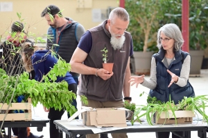 Yssingeaux : le troc&#039;plants permet le renouvellement