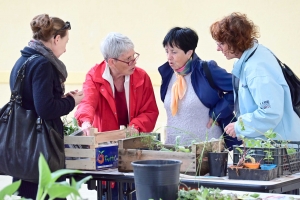 Yssingeaux : le troc&#039;plants permet le renouvellement