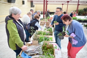 Yssingeaux : le troc&#039;plants permet le renouvellement