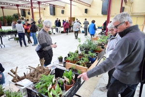 Yssingeaux : le troc&#039;plants permet le renouvellement