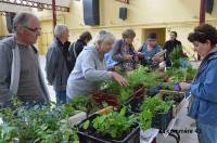 Yssingeaux : trois heures pour échanger ses plants et graines en surnombre