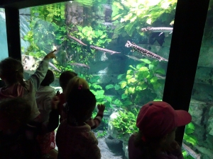 Retournac : sortie scolaire à l&#039;aquarium de Lyon pour des écoliers de Théodore-Monod