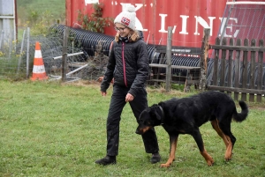 Yssingeaux : ces chiens qui obéissent au doigt et à l&#039;oeil