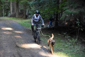 Saint-Front : les meilleurs mushers se mesurent sur terre à « Chaudeyrac »