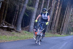 Saint-Front : les meilleurs mushers se mesurent sur terre à « Chaudeyrac »