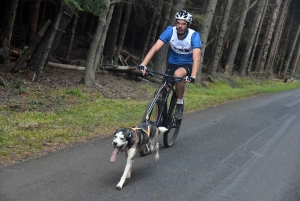 Saint-Front : les meilleurs mushers se mesurent sur terre à « Chaudeyrac »