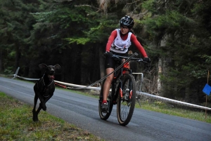 Saint-Front : les meilleurs mushers se mesurent sur terre à « Chaudeyrac »