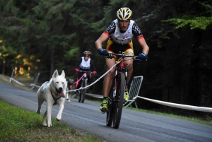 Saint-Front : les meilleurs mushers se mesurent sur terre à « Chaudeyrac »