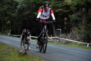 Saint-Front : les meilleurs mushers se mesurent sur terre à « Chaudeyrac »