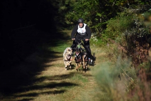 Saint-Front : les meilleurs mushers se mesurent sur terre à « Chaudeyrac »