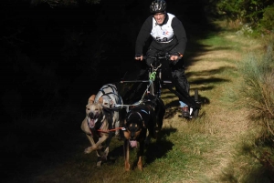 Saint-Front : les meilleurs mushers se mesurent sur terre à « Chaudeyrac »