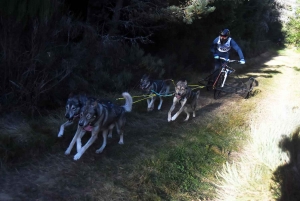 Saint-Front : les meilleurs mushers se mesurent sur terre à « Chaudeyrac »