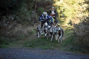 Saint-Front : les meilleurs mushers se mesurent sur terre à « Chaudeyrac »