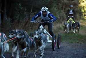 Saint-Front : les meilleurs mushers se mesurent sur terre à « Chaudeyrac »