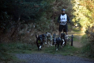 Saint-Front : les meilleurs mushers se mesurent sur terre à « Chaudeyrac »