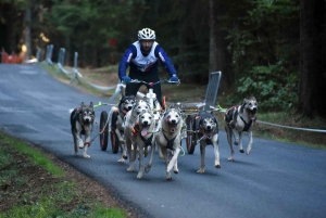 Saint-Front : les meilleurs mushers se mesurent sur terre à « Chaudeyrac »