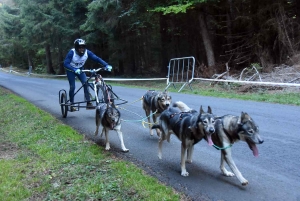 Saint-Front : les meilleurs mushers se mesurent sur terre à « Chaudeyrac »