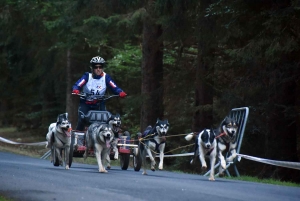 Saint-Front : les meilleurs mushers se mesurent sur terre à « Chaudeyrac »