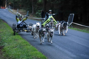 Saint-Front : les meilleurs mushers se mesurent sur terre à « Chaudeyrac »