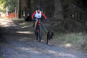 Saint-Front : les meilleurs mushers se mesurent sur terre à « Chaudeyrac »