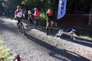 Saint-Front : les meilleurs mushers se mesurent sur terre à « Chaudeyrac »