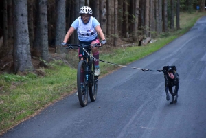 Saint-Front : les meilleurs mushers se mesurent sur terre à « Chaudeyrac »