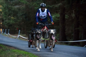 Saint-Front : les meilleurs mushers se mesurent sur terre à « Chaudeyrac »