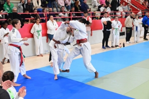 Judo : les meilleurs minimes d&#039;Auvergne-Rhône-Alpes à Monistrol