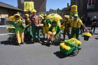 Le Chambon-sur-Lignon : un jaune flamboyant pour la Fête des jonquilles (photos et vidéo)