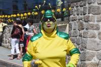 Le Chambon-sur-Lignon : un jaune flamboyant pour la Fête des jonquilles (photos et vidéo)