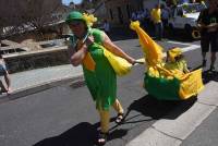 Le Chambon-sur-Lignon : un jaune flamboyant pour la Fête des jonquilles (photos et vidéo)