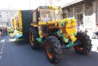 Le Chambon-sur-Lignon : un jaune flamboyant pour la Fête des jonquilles (photos et vidéo)