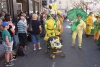 Le Chambon-sur-Lignon : un jaune flamboyant pour la Fête des jonquilles (photos et vidéo)