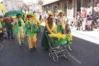 Le Chambon-sur-Lignon : un jaune flamboyant pour la Fête des jonquilles (photos et vidéo)