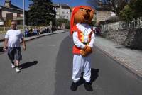 Le Chambon-sur-Lignon : un jaune flamboyant pour la Fête des jonquilles (photos et vidéo)