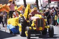 Le Chambon-sur-Lignon : un jaune flamboyant pour la Fête des jonquilles (photos et vidéo)