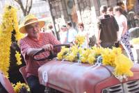 Le Chambon-sur-Lignon : un jaune flamboyant pour la Fête des jonquilles (photos et vidéo)