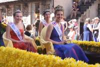 Le Chambon-sur-Lignon : un jaune flamboyant pour la Fête des jonquilles (photos et vidéo)