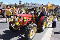 Le Chambon-sur-Lignon : un jaune flamboyant pour la Fête des jonquilles (photos et vidéo)