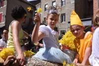 Le Chambon-sur-Lignon : un jaune flamboyant pour la Fête des jonquilles (photos et vidéo)