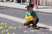 Le Chambon-sur-Lignon : un jaune flamboyant pour la Fête des jonquilles (photos et vidéo)