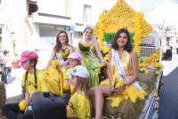 Le Chambon-sur-Lignon : un jaune flamboyant pour la Fête des jonquilles (photos et vidéo)