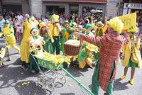 Le Chambon-sur-Lignon : un jaune flamboyant pour la Fête des jonquilles (photos et vidéo)