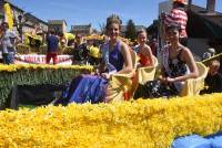 Le Chambon-sur-Lignon : un jaune flamboyant pour la Fête des jonquilles (photos et vidéo)