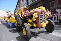 Le Chambon-sur-Lignon : un jaune flamboyant pour la Fête des jonquilles (photos et vidéo)