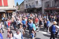 Le Chambon-sur-Lignon : un jaune flamboyant pour la Fête des jonquilles (photos et vidéo)