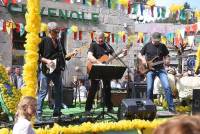 Le Chambon-sur-Lignon : un jaune flamboyant pour la Fête des jonquilles (photos et vidéo)