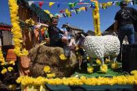 Le Chambon-sur-Lignon : un jaune flamboyant pour la Fête des jonquilles (photos et vidéo)