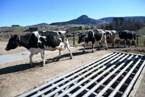 Yssingeaux : 17 hectares achetés pour le lycée agricole George-Sand