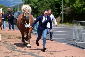 Yssingeaux : les juments comtoises à l&#039;heure du concours